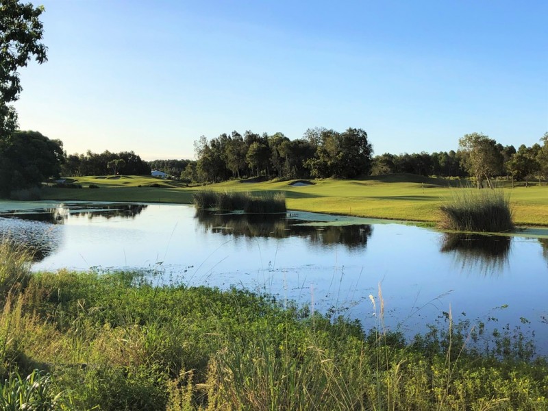 31 Caraway Crescent, Banksia Beach QLD 4507