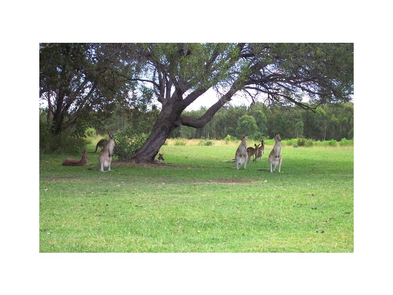 White Patch QLD 4507