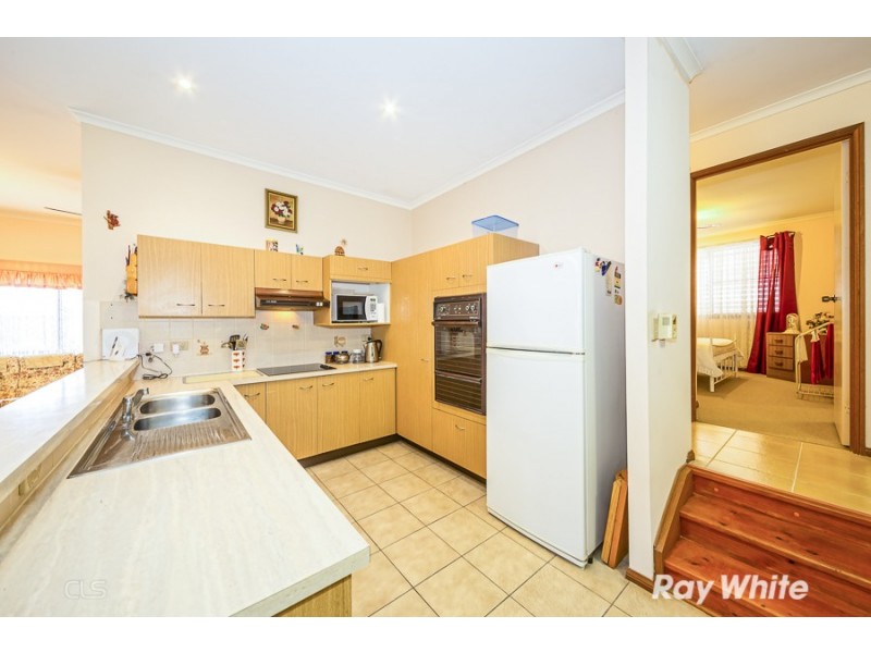 19 Flamingo Drive, Banksia Beach QLD 4507