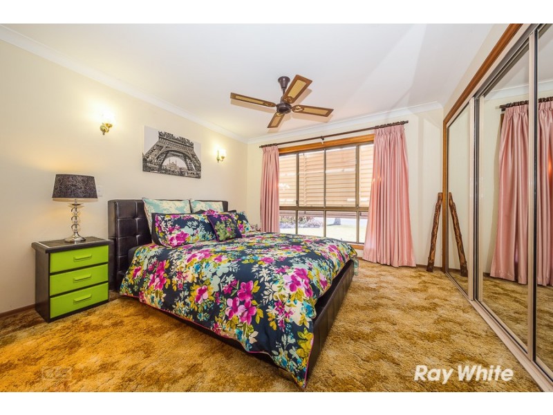 17 Allamanda Drive, Bongaree QLD 4507