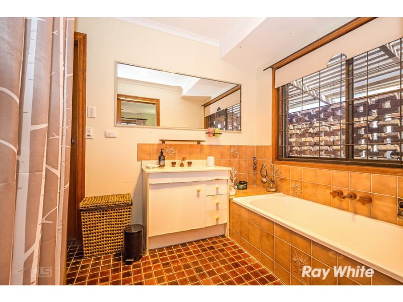 17 Allamanda Drive, Bongaree QLD 4507