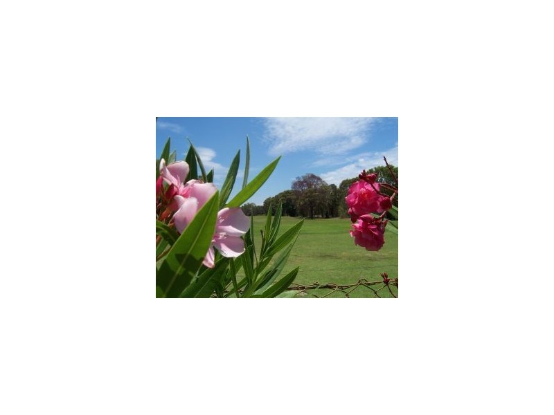 Banksia Beach QLD 4507