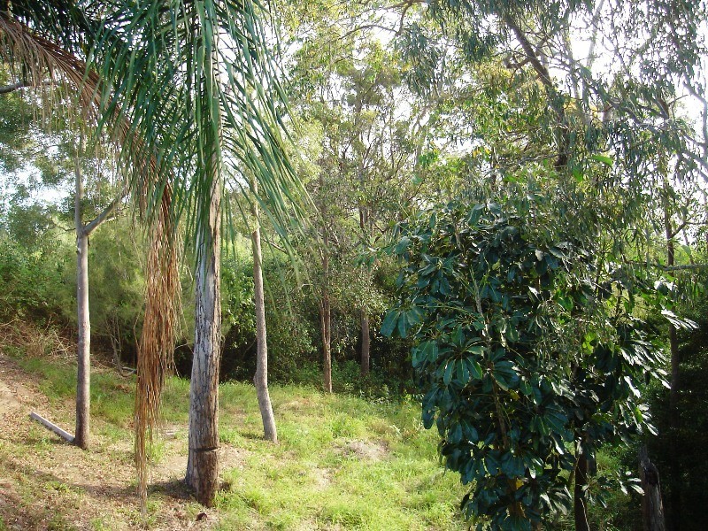 Sandstone Point QLD 4511