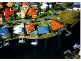 101 Voyagers Dve, Banksia Beach QLD 4507