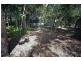 White Patch QLD 4507