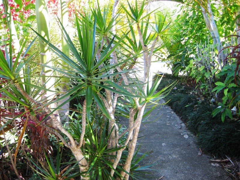 97 Logrunner Drive, Upper Caboolture QLD 4510