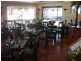 3 First Ave ( FLAMING MALS), Bongaree QLD 4507