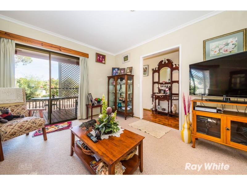 49 Jabiru Street, Bellara QLD 4507