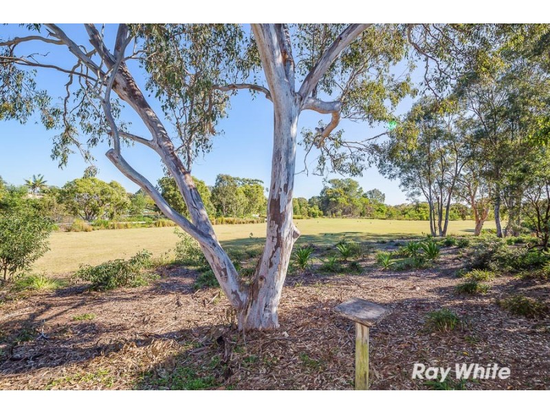 23 Melrose Avenue, Bellara QLD 4507