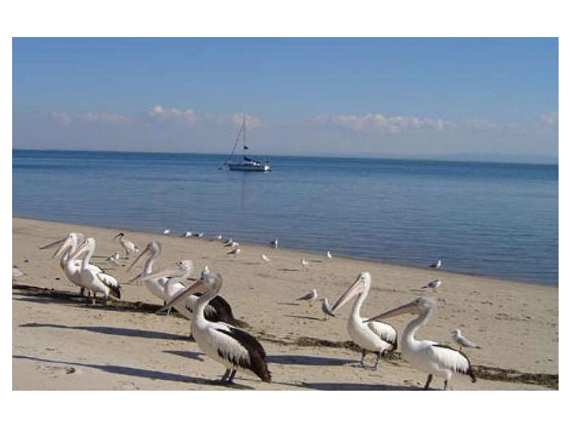 21/21-27 Sylvan Beach Esplanade, Bellara QLD 4507