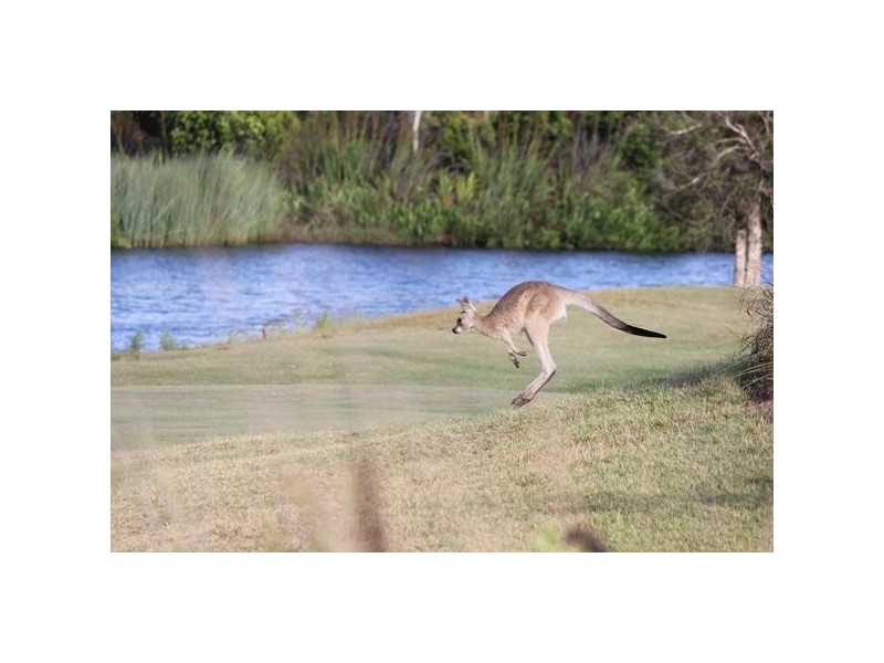 33 Dunebean Drive, Banksia Beach QLD 4507