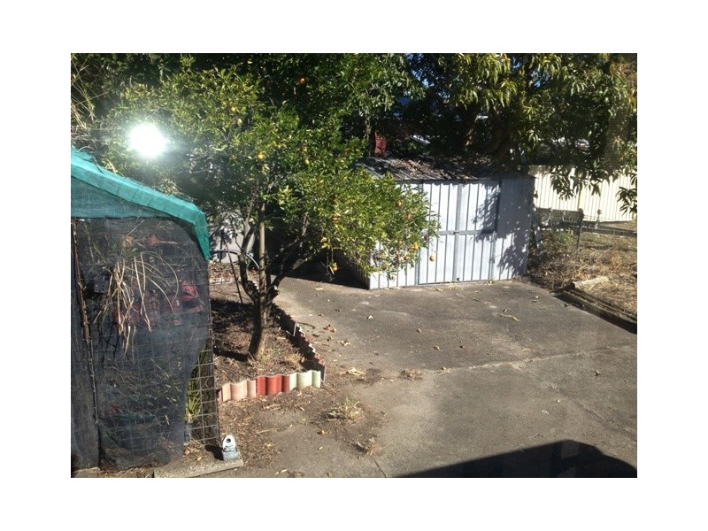 126 Boronia Drive, Bellara QLD 4507