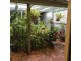 Bongaree QLD 4507