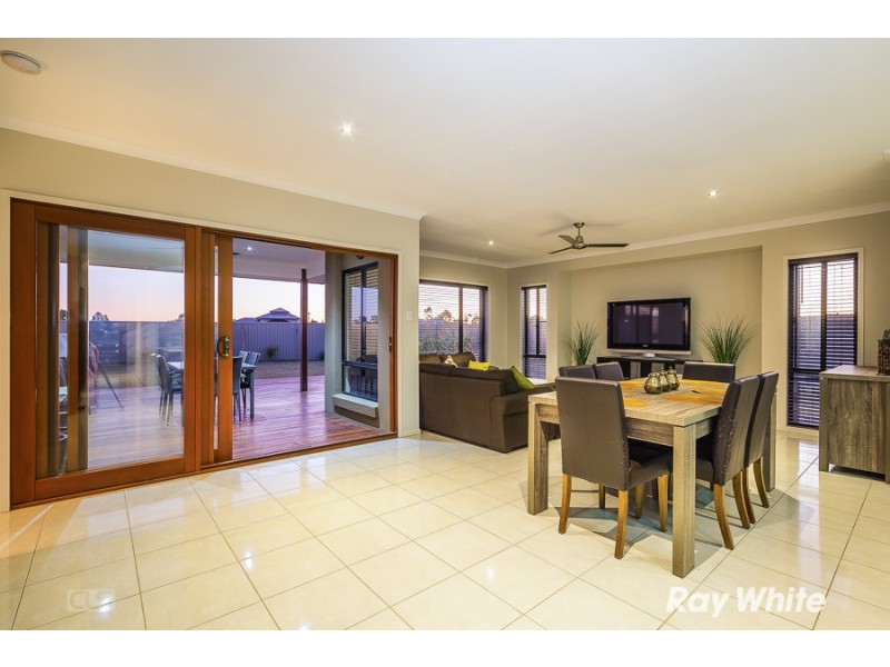 8 Clubrush Court, Banksia Beach QLD 4507