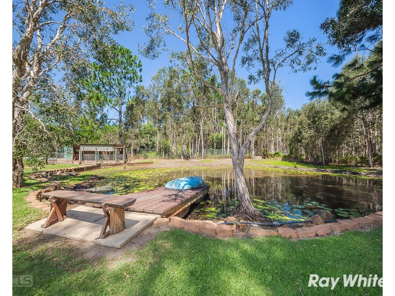 48 Lever Court, Ningi QLD 4511