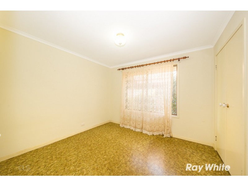 16 Timari Avenue, Bellara QLD 4507