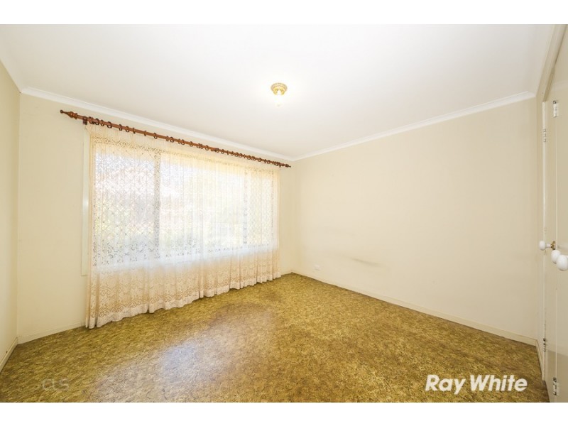 16 Timari Avenue, Bellara QLD 4507