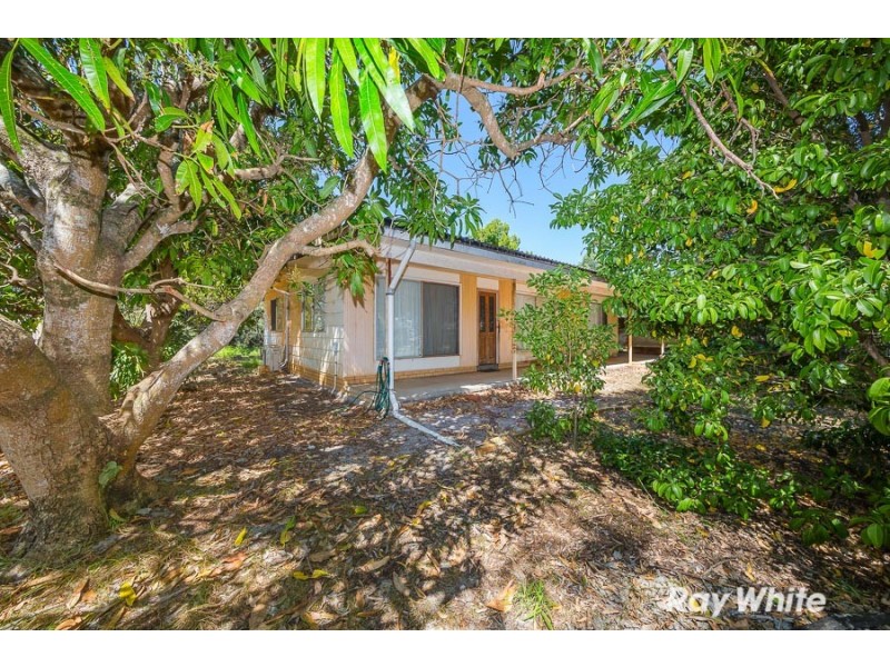 10 McDonald Street, Bongaree QLD 4507