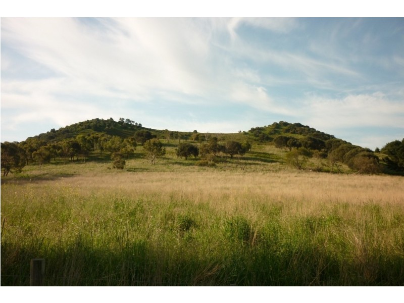 Lot 20 Post Office Road, Mount Schank SA 5291