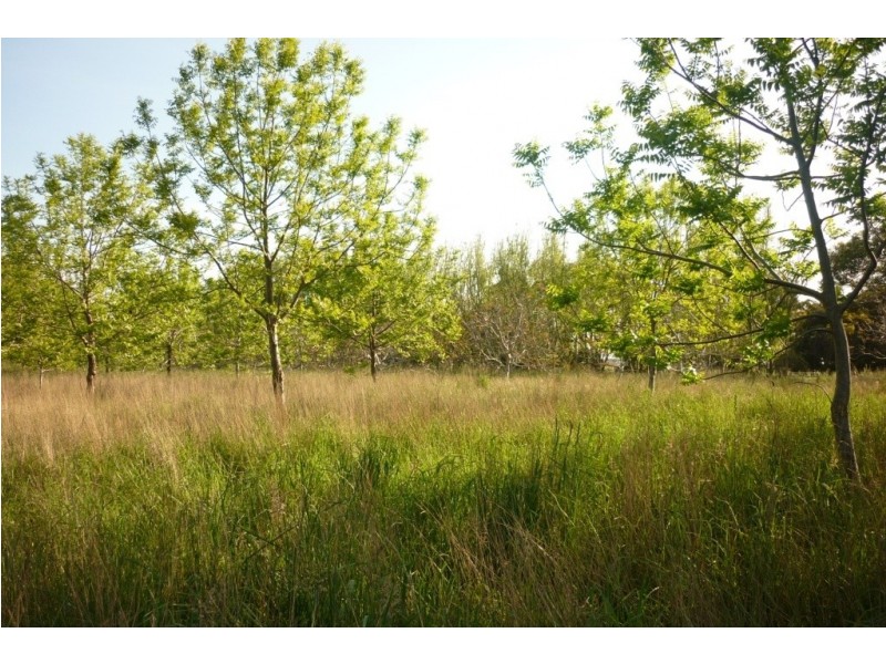 Lot 20 Post Office Road, Mount Schank SA 5291