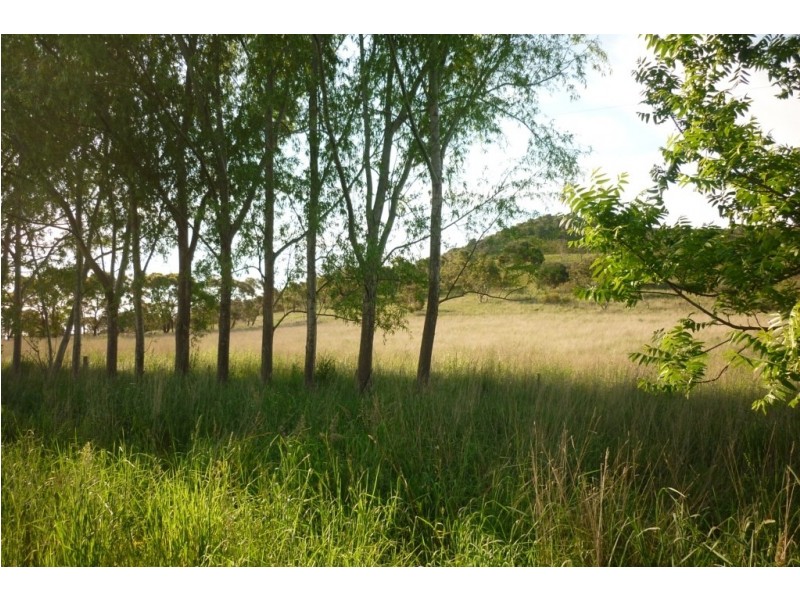 Lot 20 Post Office Road, Mount Schank SA 5291