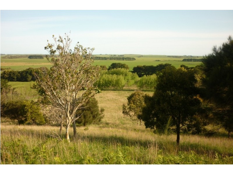 Lot 20 Post Office Road, Mount Schank SA 5291