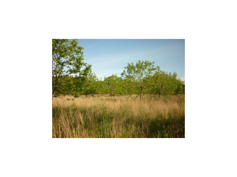 Lot 20 Post Office Road, Mount Gambier SA 5290