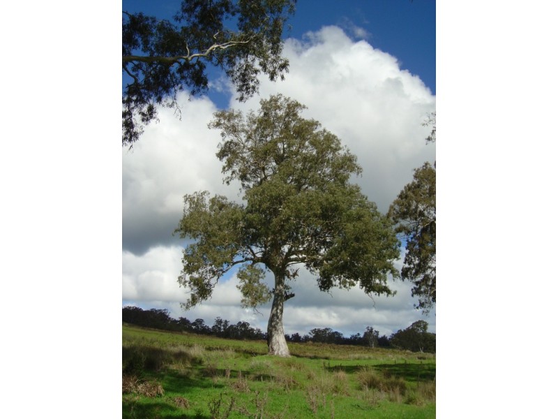 Lot 7 Myaring Pieracle Road, Strathdownie VIC 3312