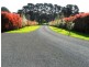354 Yahl Road, Glenburnie SA 5291