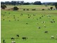00 Princes Highway, Mount Gambier SA 5290