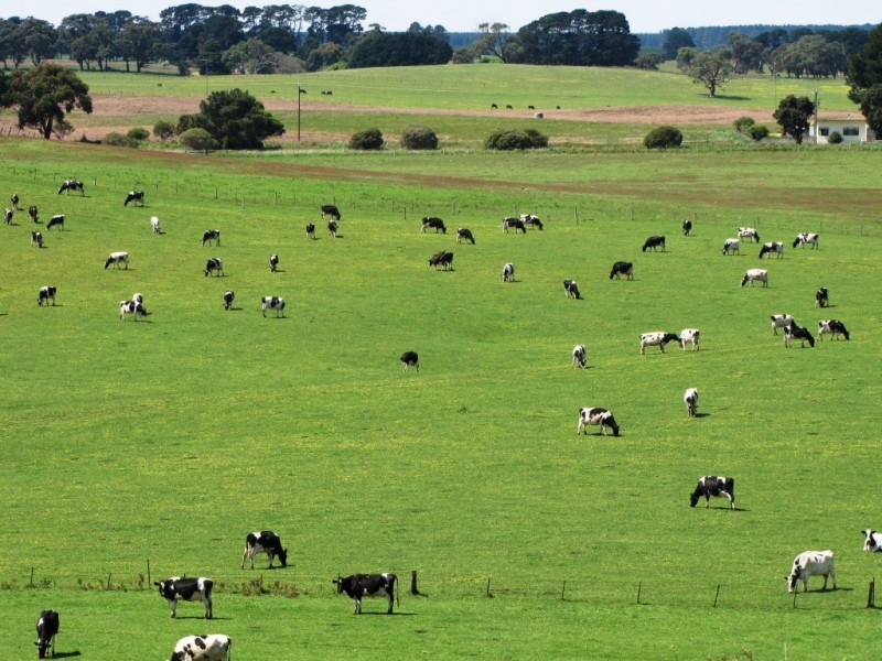 00 Princes Highway, Mount Gambier SA 5290