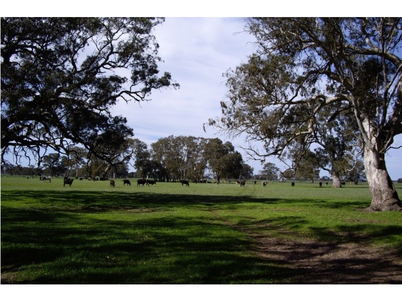 00 Old Kalangadoo-Penola Road, Kalangadoo SA 5278