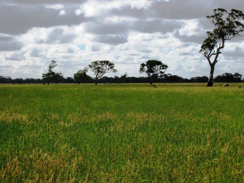 00 Old Kalangadoo-Penola Road, Kalangadoo SA 5278
