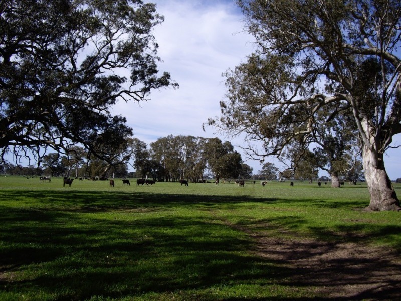 00 Old Kalangadoo-Penola Road, Penola SA 5277