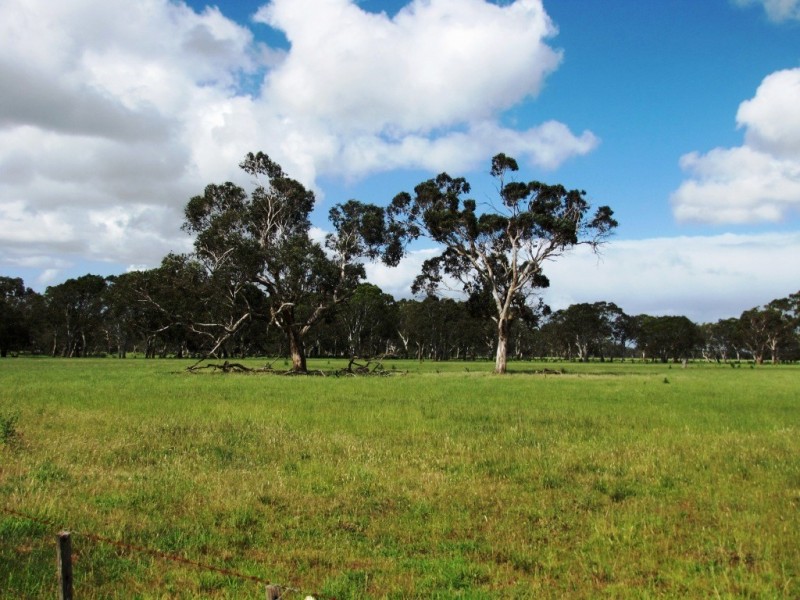 00 Old Kalangadoo-Penola Road, Penola SA 5277