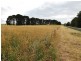 Lot 21 Mingbool Road, Mingbool SA 5291