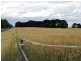 Lot 21 Mingbool Road, Mingbool SA 5291