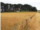 Lot 21 Mingbool Road, Mingbool SA 5291