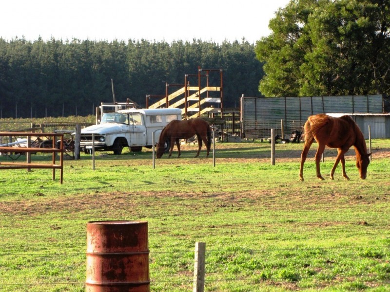 379 Kromelite Road, Glenburnie SA 5291