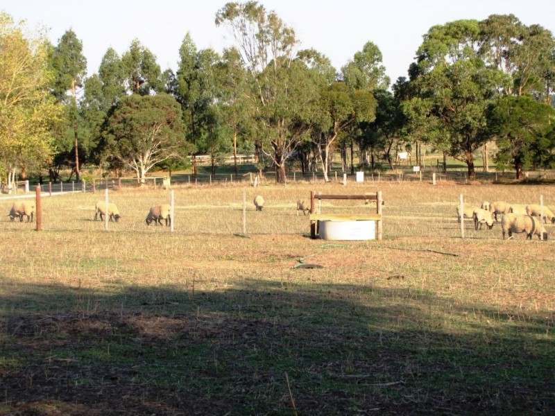 379 Kromelite Road, Glenburnie SA 5291