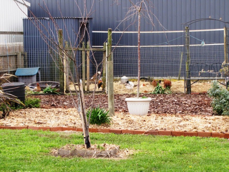 34 Yahl Main Road, Yahl, Mount Gambier SA 5290