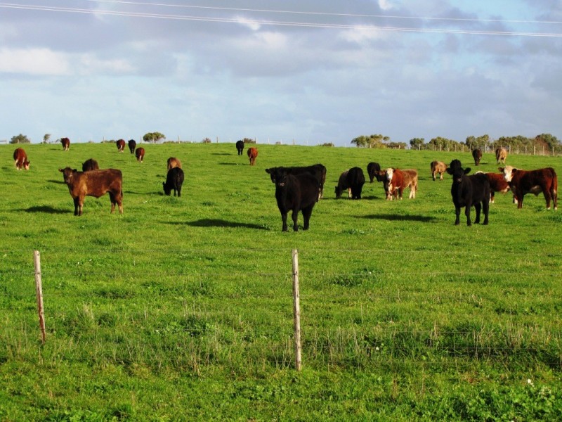 471 Benara Road, Moorak, Mount Gambier SA 5290