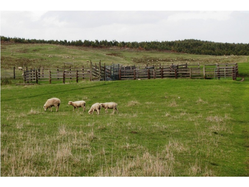 Lot 12 and 43 Earls Road, Nelson VIC 3292