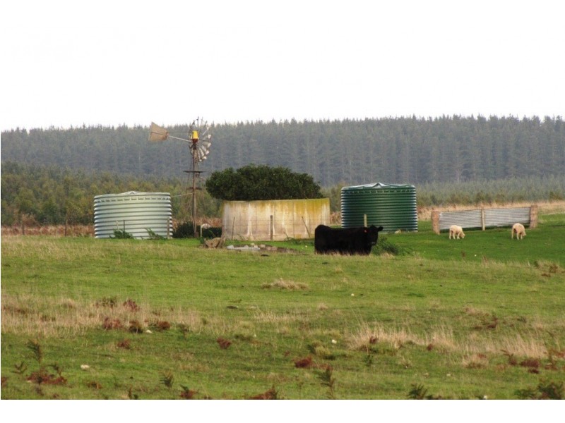 Lot 12 and 43 Earls Road, Nelson VIC 3292