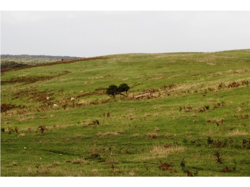 Lot 12 and 43 Earls Road, Nelson VIC 3292