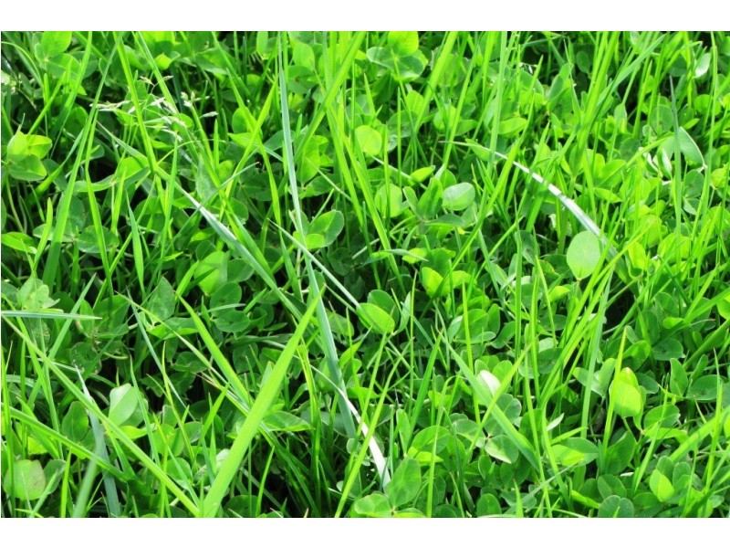 Lot 42 and 42A Marp Road, Mumbannar VIC 3304