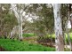 249 Burrows Road, Dartmoor VIC 3304