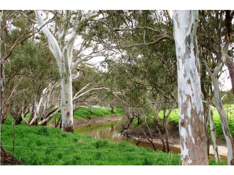 249 Burrows Road, Dartmoor VIC 3304