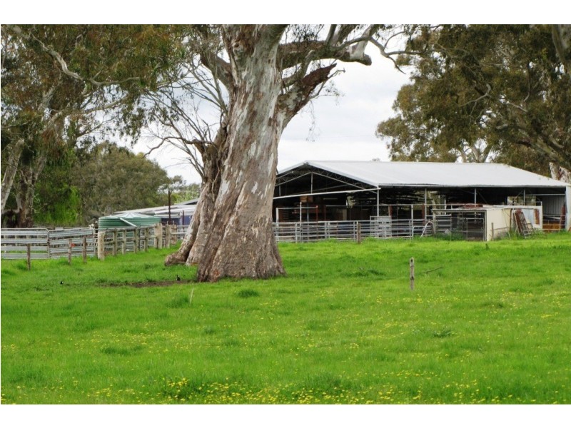 249 Burrows Road, Dartmoor VIC 3304