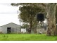 249 Burrows Road, Dartmoor VIC 3304